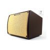 Комбоусилитель Ibanez Troubadour T30II (227261) изображение 4