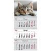 Календарь Axent настенный квартальный 2026 г.,3 пружины Cats 1 (8803-26-13-A)