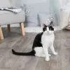Іграшка для котів Trixie Мильні бульбашки з котячою м'ятою 120 мл (4011905424255) зображення 4