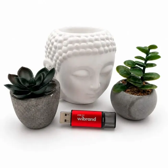 USB флеш накопичувач Wibrand 32GB Ladybug Red USB 3.2 (WI3.2/LB32P10S) зображення 6