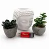 USB флеш накопичувач Wibrand 32GB Ladybug Red USB 3.2 (WI3.2/LB32P10S) зображення 6