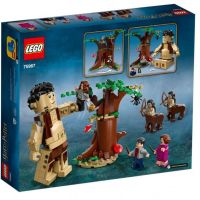 Конструктор LEGO Harry Potter Запретный лес: Грохх и Долорес Амбридж (75967) изображение 2