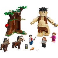 Конструктор LEGO Harry Potter Запретный лес: Грохх и Долорес Амбридж (75967) изображение 3