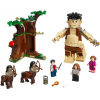 Конструктор LEGO Harry Potter Запретный лес: Грохх и Долорес Амбридж (75967) изображение 3