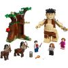 Конструктор LEGO Harry Potter Запретный лес: Грохх и Долорес Амбридж (75967) изображение 3