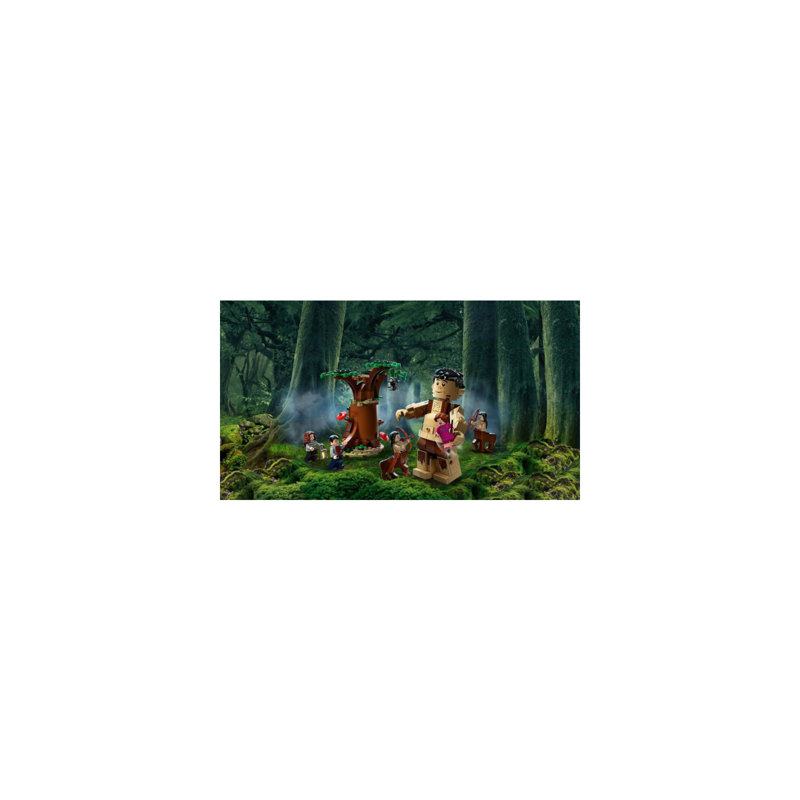 Конструктор LEGO Harry Potter Запретный лес: Грохх и Долорес Амбридж (75967) изображение 4