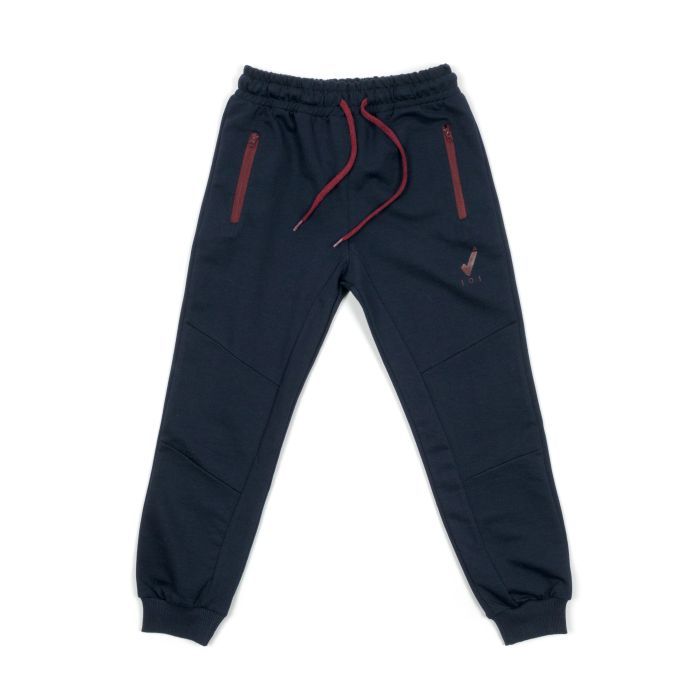 Штаны детские Joi спортивные (C-226-134B-blue)