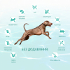Сухий корм для собак Optimeal Beauty Fitness беззерновий на основі морепродуктів 10 кг (4820215366922) зображення 5