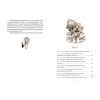 Книга Кругом світу за 80 днів - Жуль Верн Рідна мова (9786178248154) зображення 4