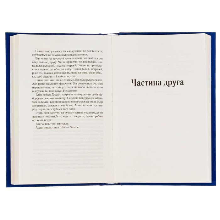 Книга Гамнет - Меґґі О'Фаррелл Vivat (9786171701021) изображение 6