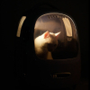 Переноска для животных Petkit Breezy2 Smart Cat Carrier (Desert Camo) (713112) изображение 7