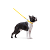Повідок для собак WAUDOG Glamour круглий XS d 8 мм Д 122 см жовтий (33778) зображення 3
