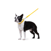 Повідок для собак WAUDOG Glamour круглий XS d 8 мм Д 122 см жовтий (33778) зображення 5