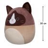 М'яка іграшка Squishmallows Кіт Вудворд 30 см (SQCR05423) зображення 2