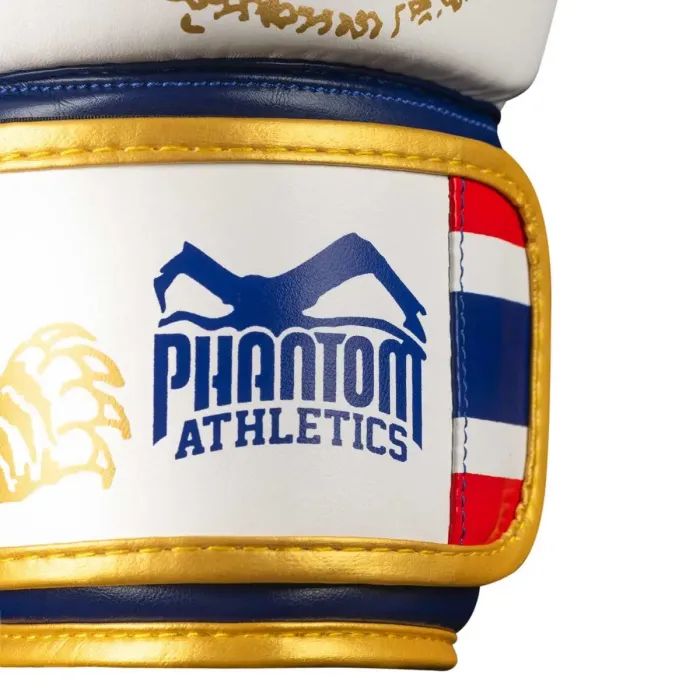 Боксерские перчатки Phantom Muay Thai Red 10 унцій (PHBG2505-10) изображение 6