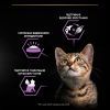 Влажный корм для кошек Purina Pro Plan Kitten С курицей 85 г (8445290673688) изображение 7