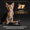 Влажный корм для кошек Purina Pro Plan Kitten С курицей 85 г (8445290673688) изображение 8