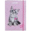 Папка для тетрадей Kite В5 на резинке Studio Pets (SP25-210) изображение 2