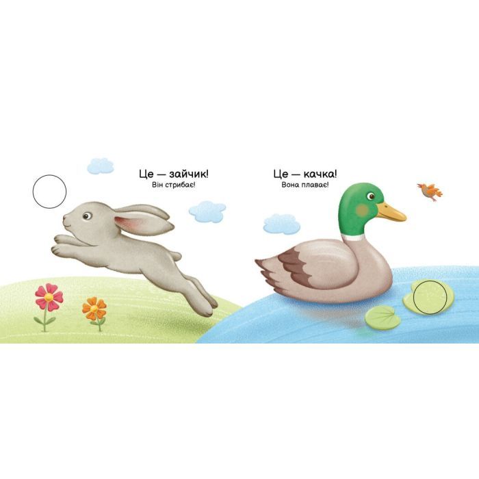 Книга Хто що вміє? Моя книжка-розкладайка - Надія Мірошниченко Ранок (9789667616144) изображение 4