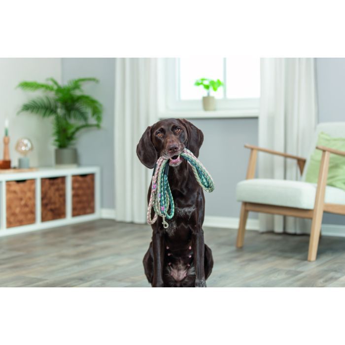 Повідець для собак Trixie Cavo L–XL 1 м діаметр 18 мм аква-графіт (4053032677807) зображення 3