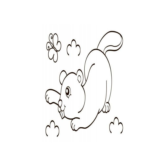 Книга Водна розмальовка. Дикі тварини Ранок (9789667484354) изображение 5