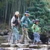 Трекінгові палиці Naturehike CNK2550DS010 55-120 см зелена 1 шт (6977465869371) зображення 7