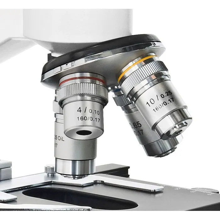 Мікроскоп Bresser Erudit DLX 40-600x (12713) (932377) зображення 2