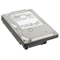 Жесткий диск 3.5"  500Gb WDC Hitachi HGST (0F10381 / HDS721050CLA362)