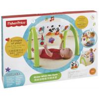 Развивающая игрушка Fisher-Price игровая панель Растем вместе (Y6588)