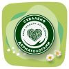 Гігієнічні прокладки Naturella Ultra Normal 10 шт (4015400125037) зображення 9