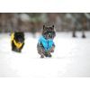 Курточка для животных Collar AiryVest "Colors of freedom" XS 30 (4441-4020) изображение 7