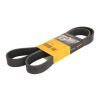 Поликлиновый ремень CONTITECH 8PK1390