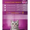 Вологий корм для кішок Whiskas Курка в желе 85 г (5900951302138) зображення 6