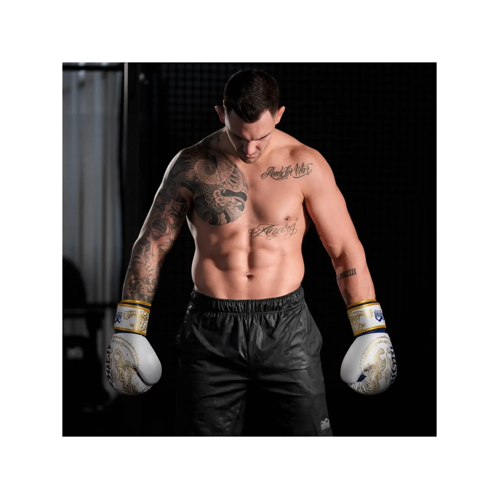 Боксерські рукавички Phantom Muay Thai Black 10oz (PHBG2329-10) зображення 10