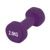 Гантель PowerPlay вінілові 4125 Achilles 2 х 2.5 кг Фіолетові (PP_4125_2.5kg_2in) изображение 3