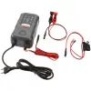 Зарядное устройство для автомобильного аккумулятора Bosch 0189911070 изображение 2