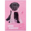 Тетрадь Kite для нот Studio Pets А4, 20 листов (SP24-404)