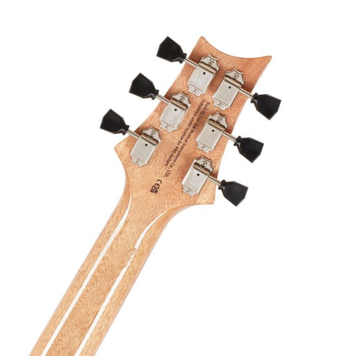 Электрогитара PRS SE Paul's Guitar Faded Blue Burst изображение 6