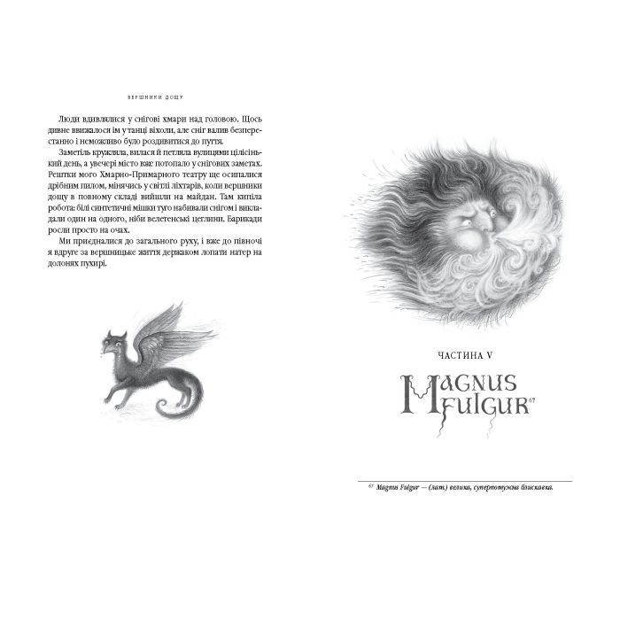 Книга Вершники дощу - Катерина Штанко А-ба-ба-га-ла-ма-га (9786175853887) зображення 5