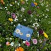 Гаманець Yoshi Y1321 Bee Happy Blue (Y1321 BEE 21) зображення 6