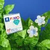 Пластика Fimo Effect, Ботаніка, сухоцвіт водоростей, 57г (4007817152850) изображение 3
