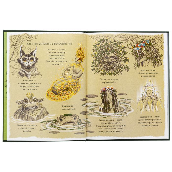 Книга Мавка Вербичка й песиголовці - Юліта Ран Ранок (9786170990389) изображение 6