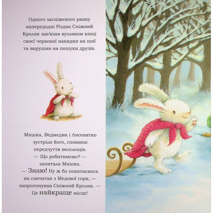 Книга Сніжний Кролик і різдвяний подарунок- Ребекка Гаррі Ранок (9786170988966) изображение 10