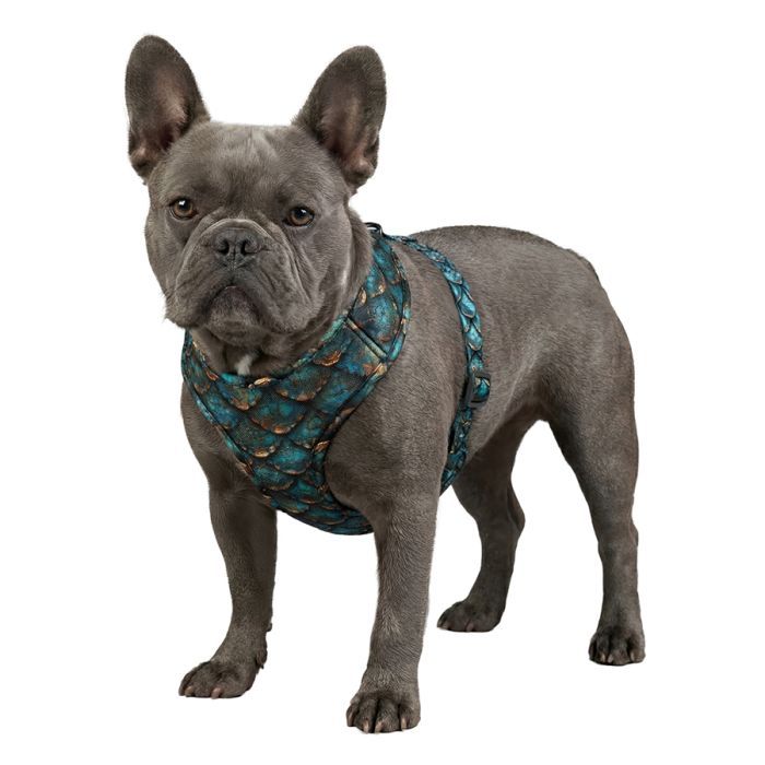 Шлея для собак WAUDOG Mesh дихаюча з QR адресником "Луска" S (233-0179) зображення 4