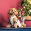 Футболка для животных Pet Fashion Соломия S (4823082440429) изображение 5