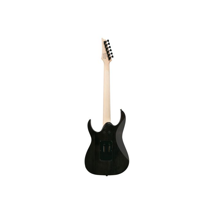 Електрогітара Ibanez RG450QMB-TGB (302353) зображення 2