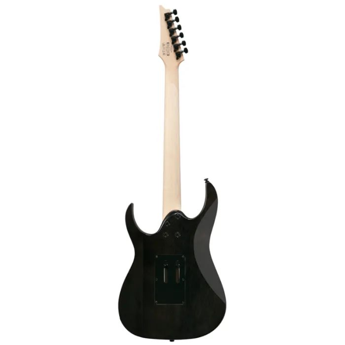 Електрогітара Ibanez RG450QMB-TGB (302353) зображення 2