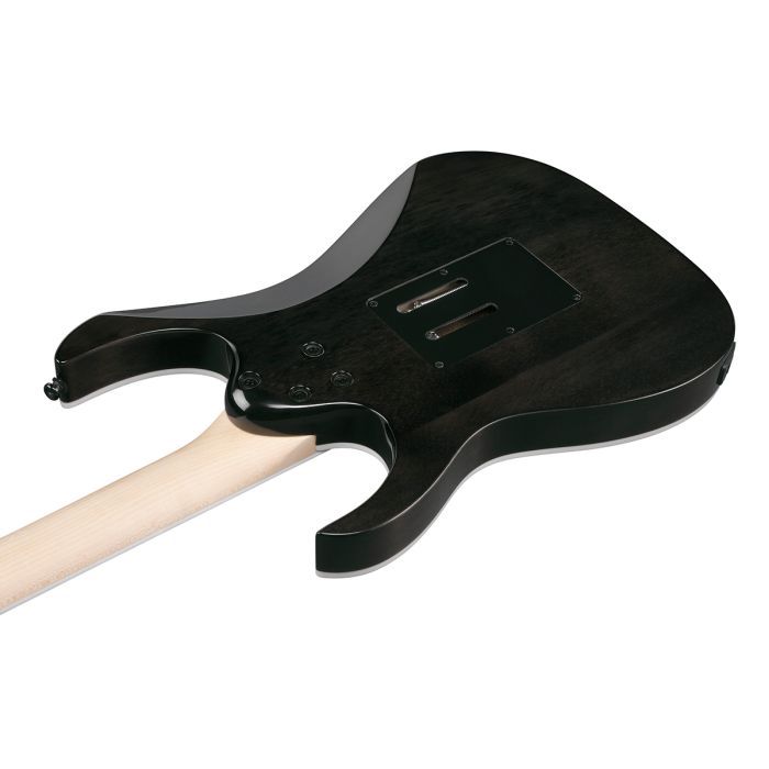 Електрогітара Ibanez RG450QMB-TGB (302353) зображення 5