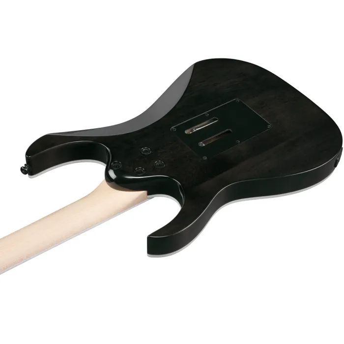 Електрогітара Ibanez RG450QMB-TGB (302353) зображення 5