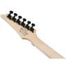 Електрогітара Ibanez RG450QMB-TGB (302353) зображення 7